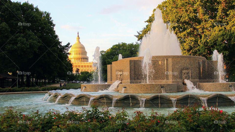 Capitol at Sunrise