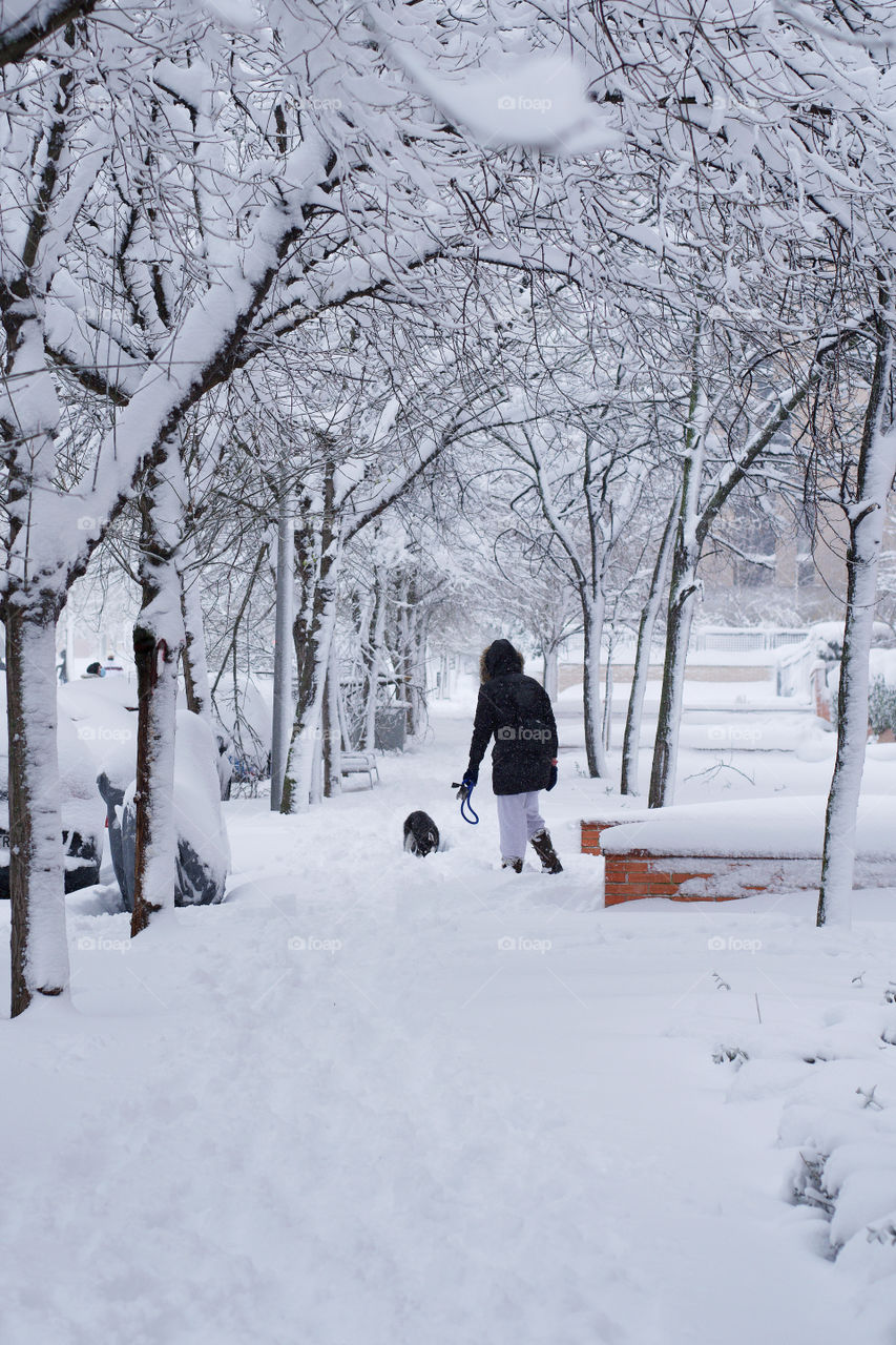 Person walking its dog on the snow