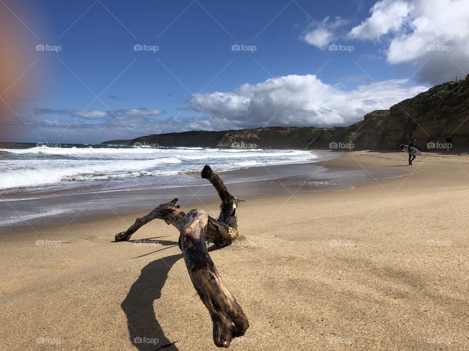 Beach scene with drift wood