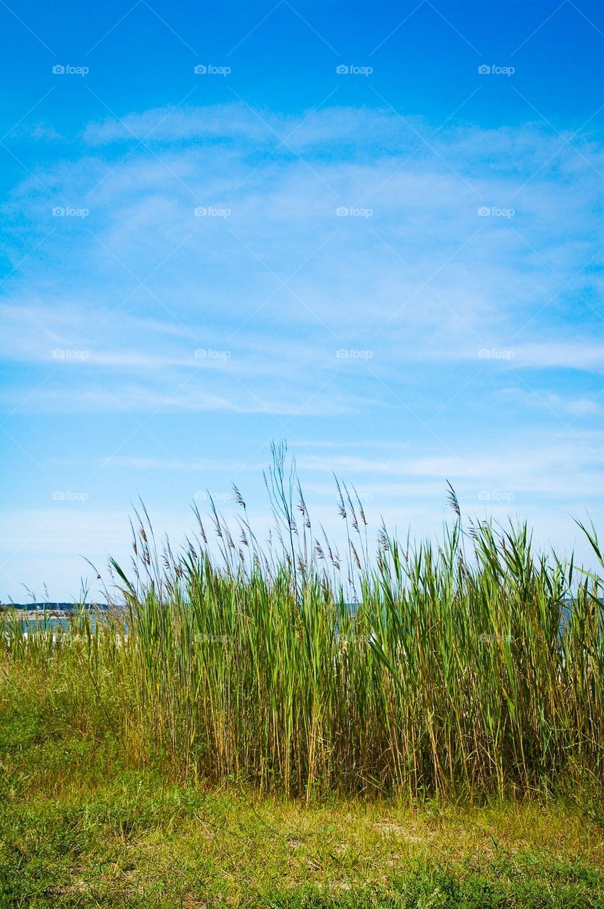 Point Lookout