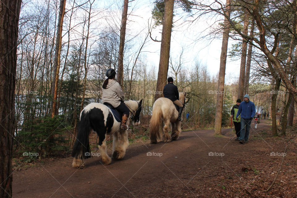 Horseback riding outdoors