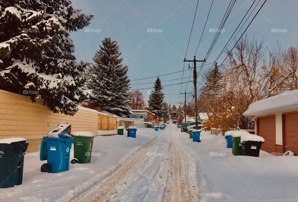 Alley with the snow and dustbins