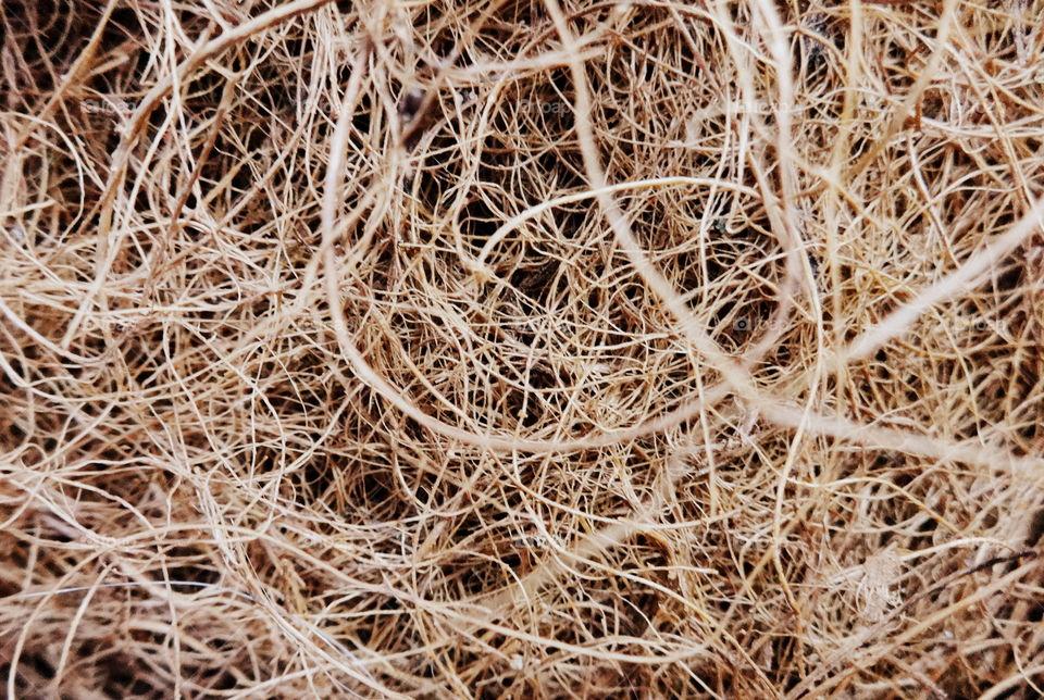 Extreme close-up of tangled rope fiber