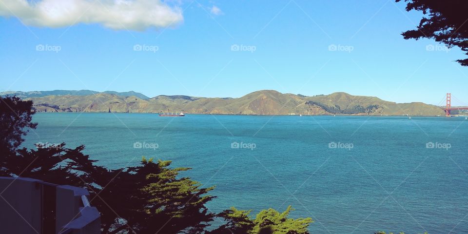 view of the Bay in San Francisco