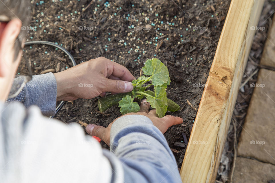 Planting and gardening 