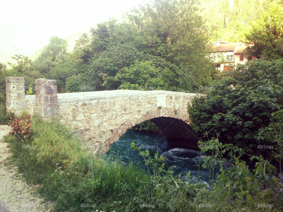 Saras Bridge