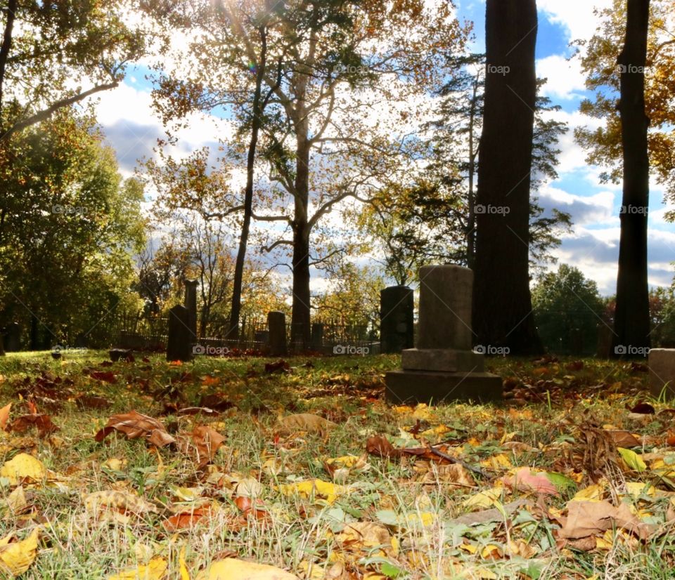 Cemetery 