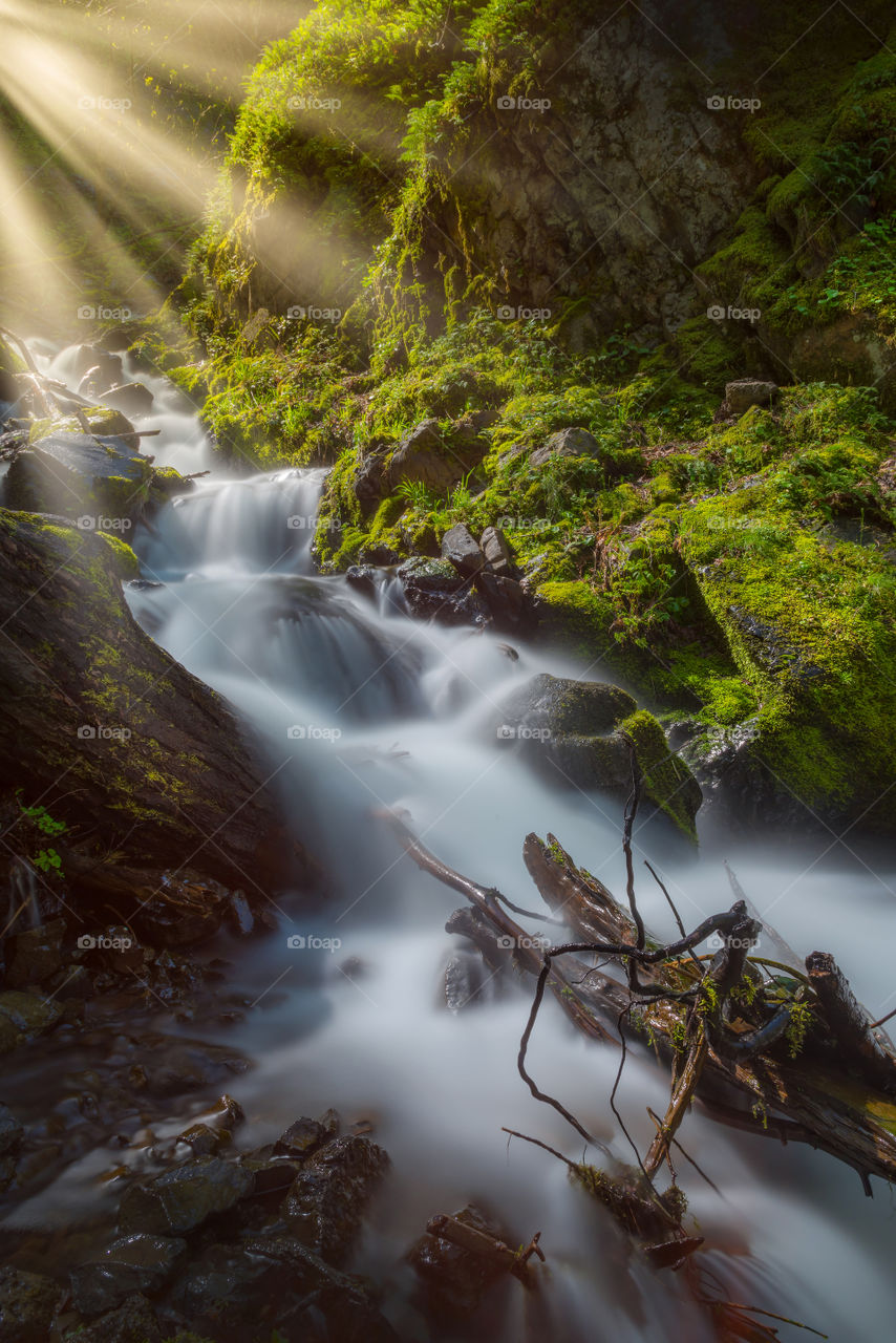 Heavenly lush waterfall nature in Oregon