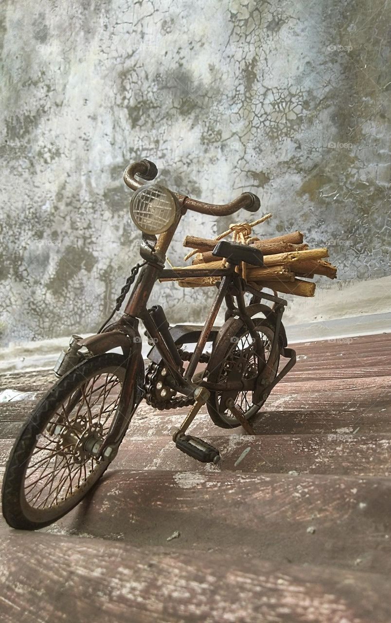 Looking for firewood