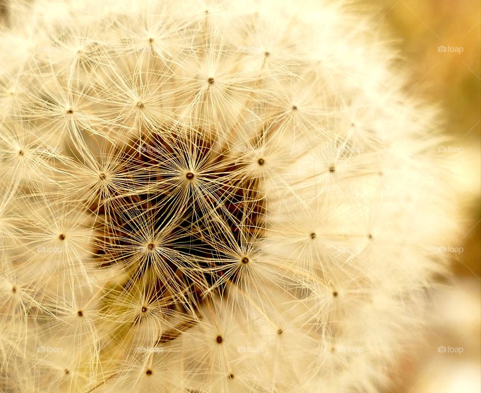 Monochrome photography