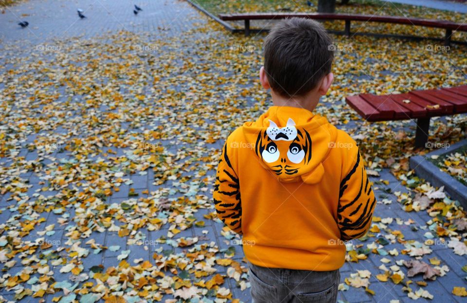 child walking on a road with autumn leaves, love autumn