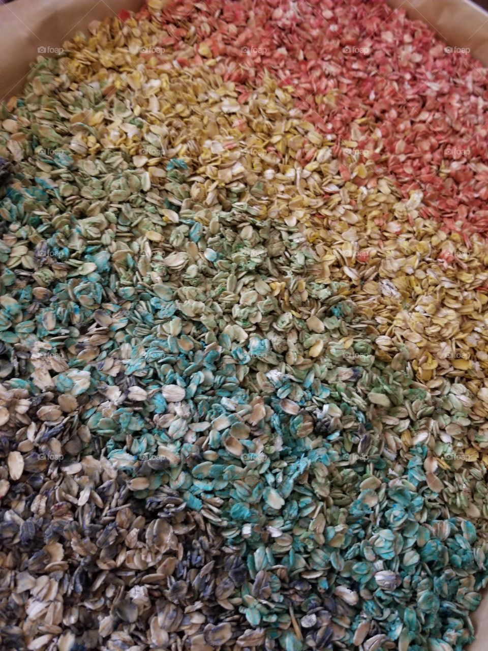 rainbow colored oats used