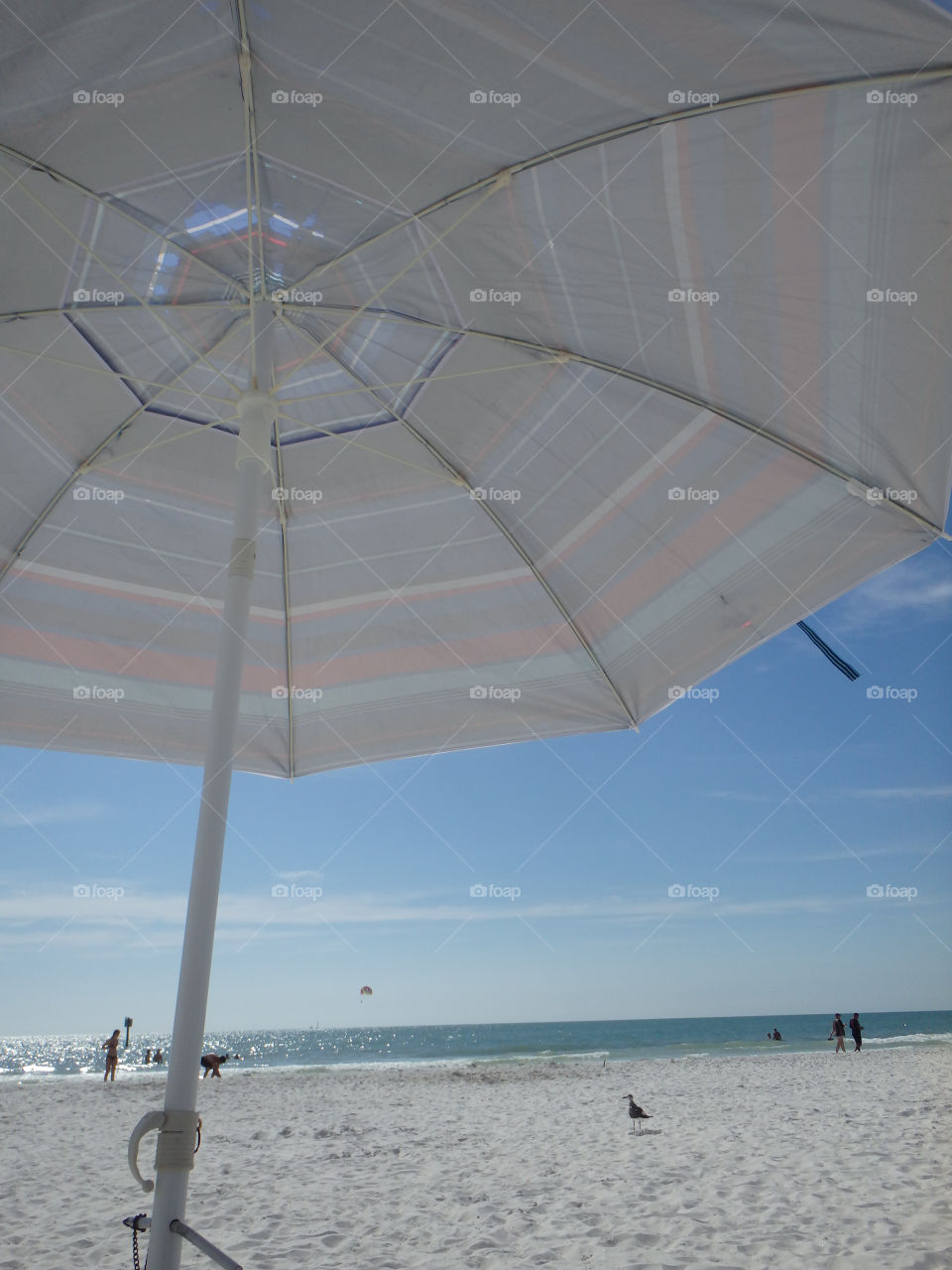 Clearwater Beach umbrella