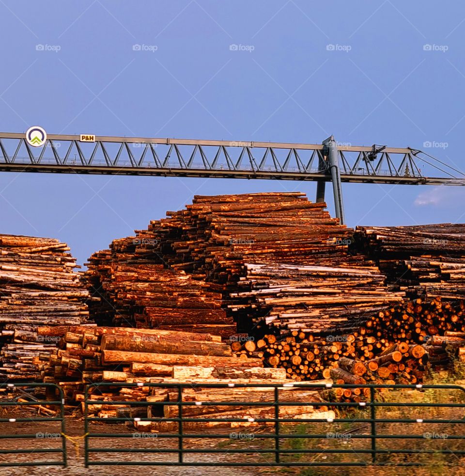 Idaho Lumber yard