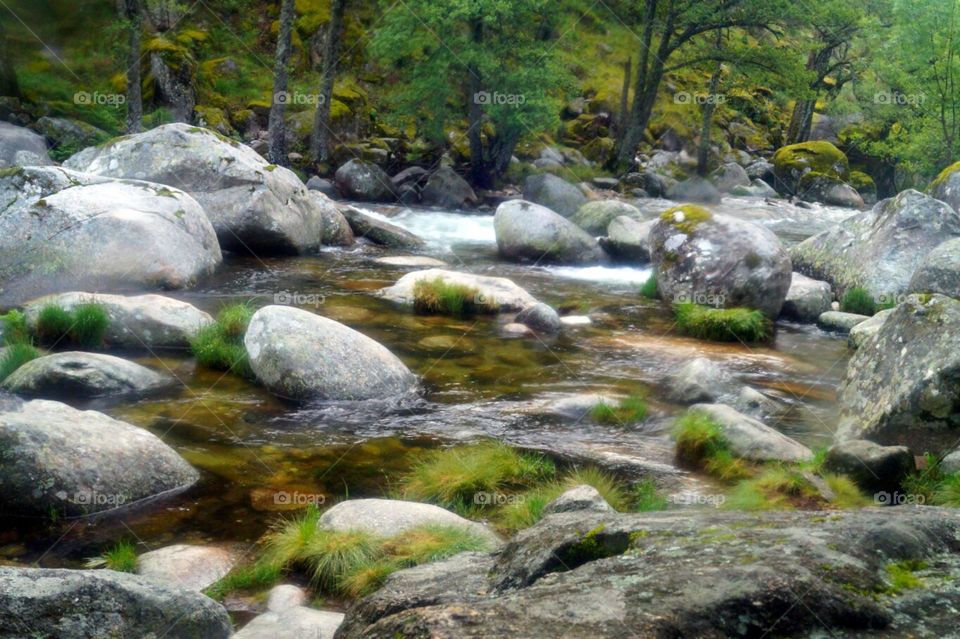 Water, Nature, Stream, River, Rock