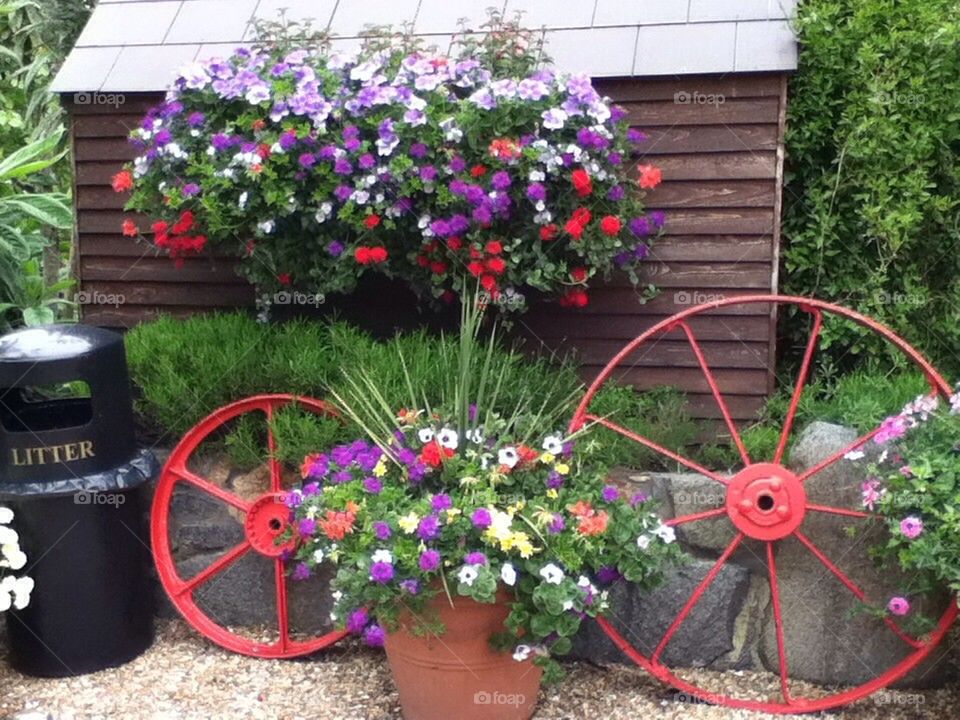 Flowers with wagon wheel