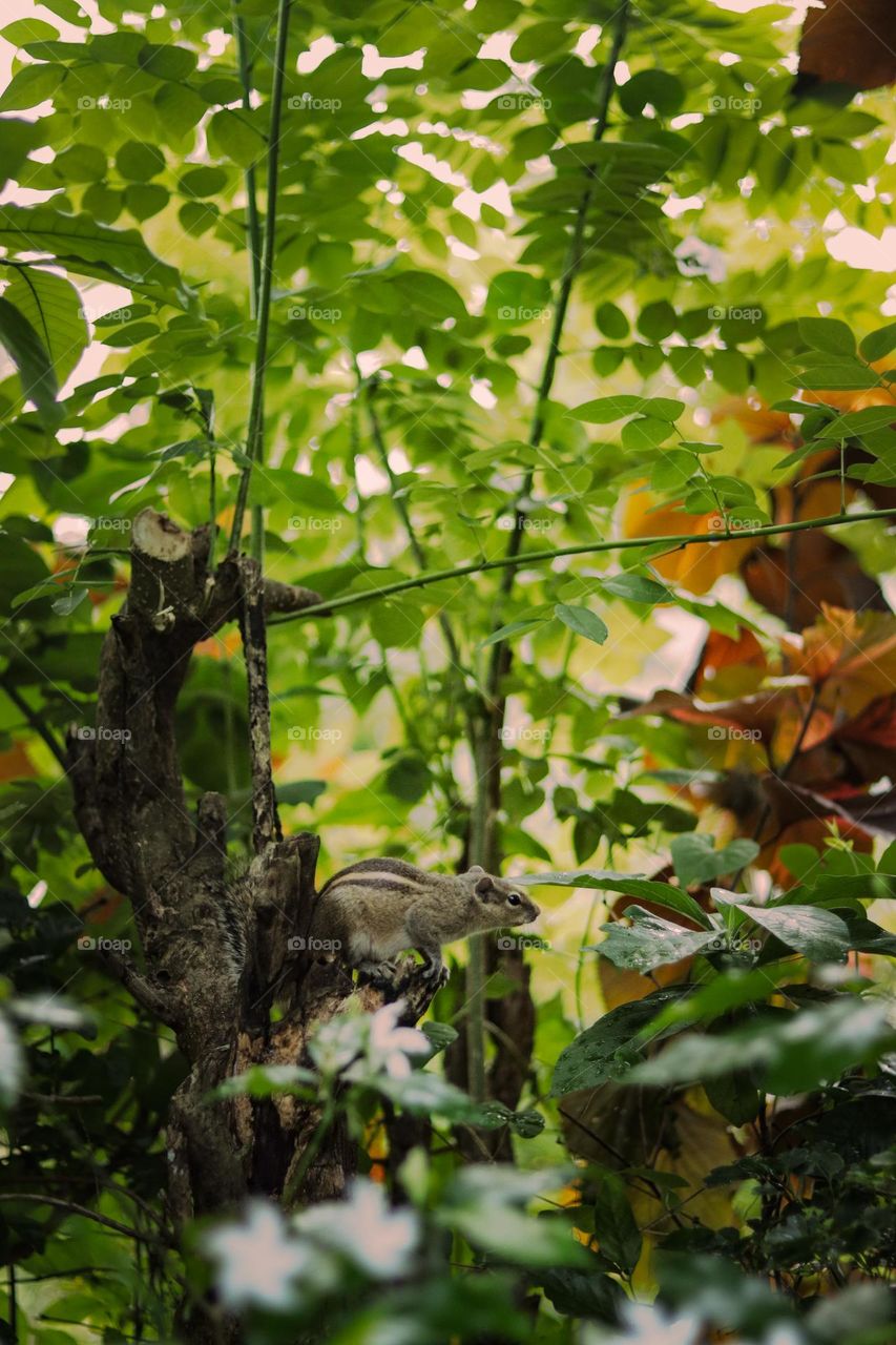 Keep your eyes open✨