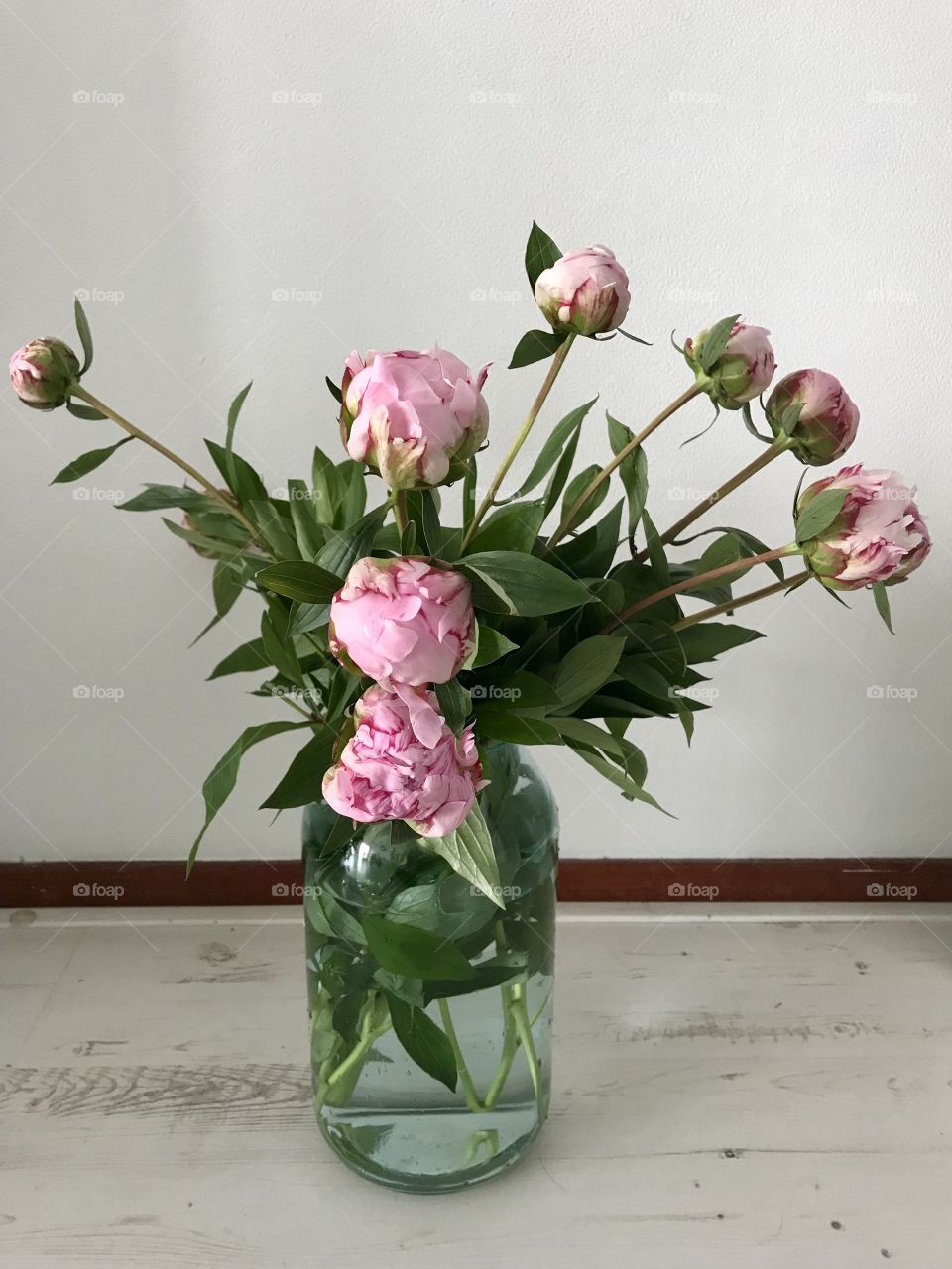 Peonies