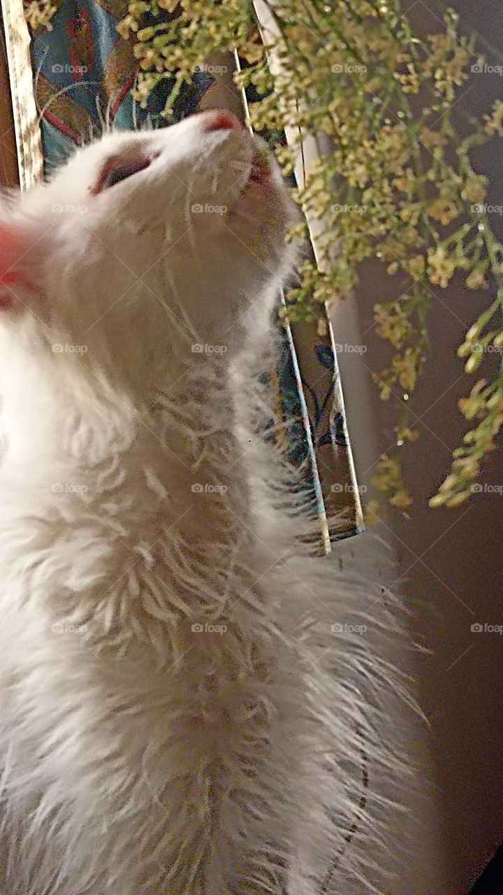 trying to taste the nature