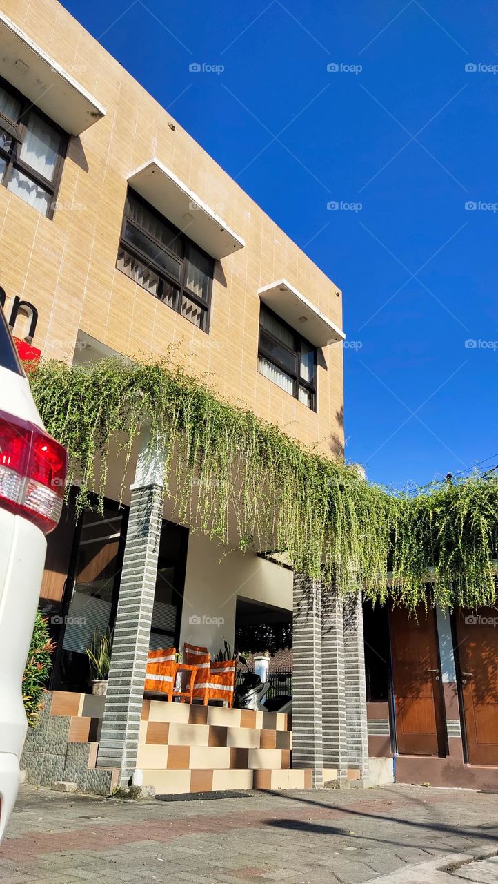 tanaman di bagian atas