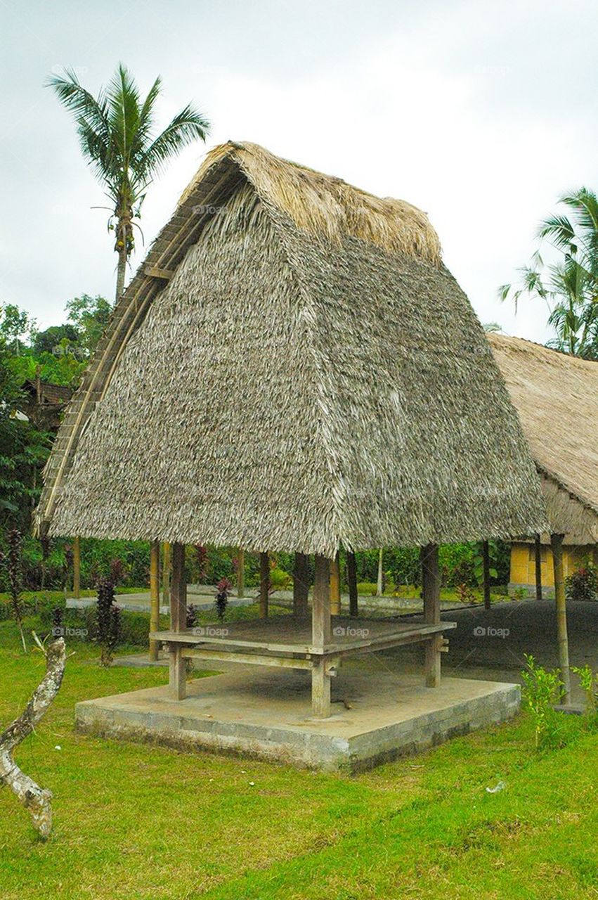 Grass hut
