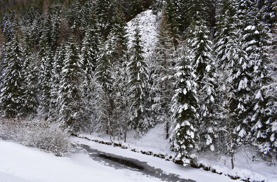 Winter in mountains