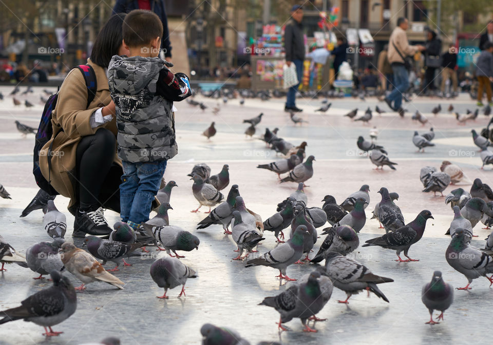 Pigeons in the City