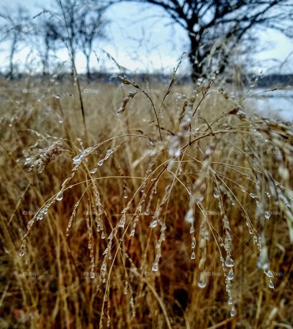 Rainy day scene near the water. "Droplets of Love".