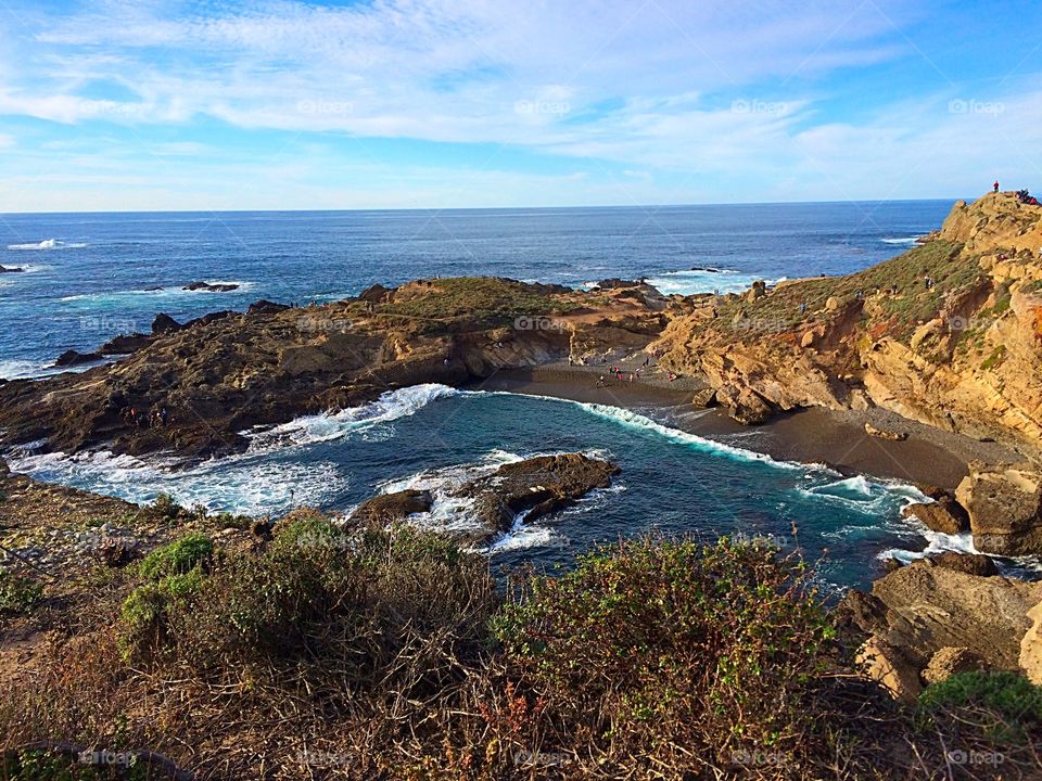 North Cove. Point Lobos California