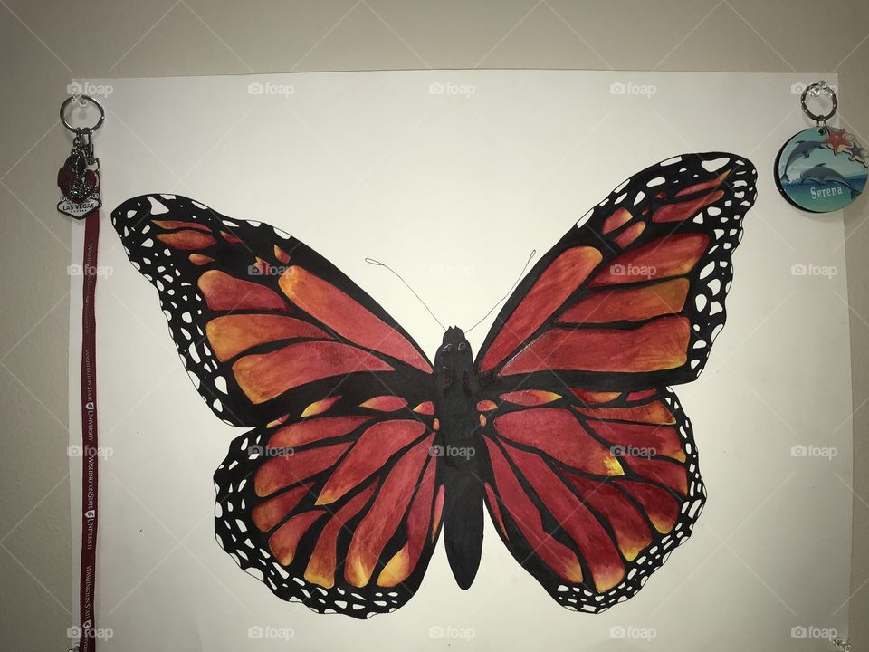 Beautiful red butterfly watercolor painting hand drawn with black sharpie