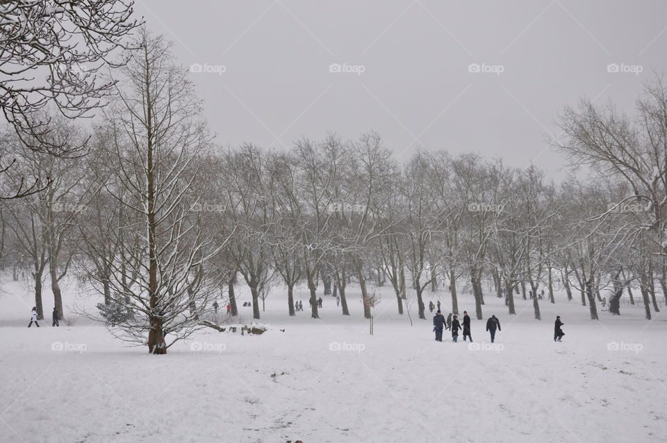 snow winter people trees by marconeill