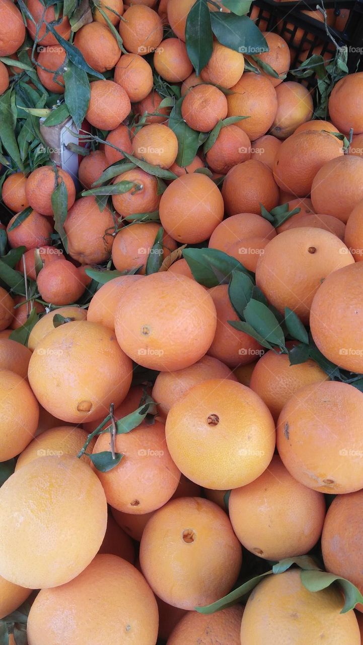 big and small oranges.