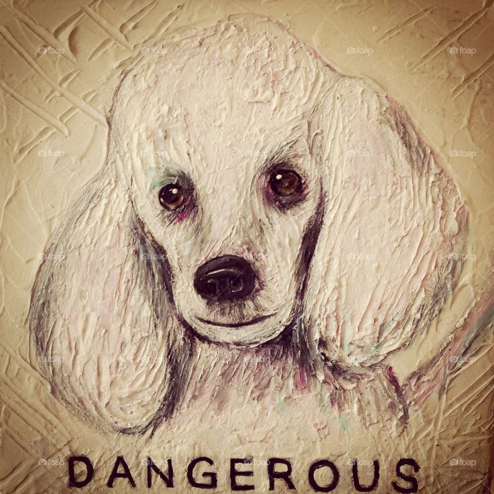 Dangerous Doggie
