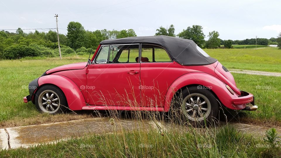 Rose Bug. Daddy's love.  I love VWs,  so Dad bought this for me to bounce around in.