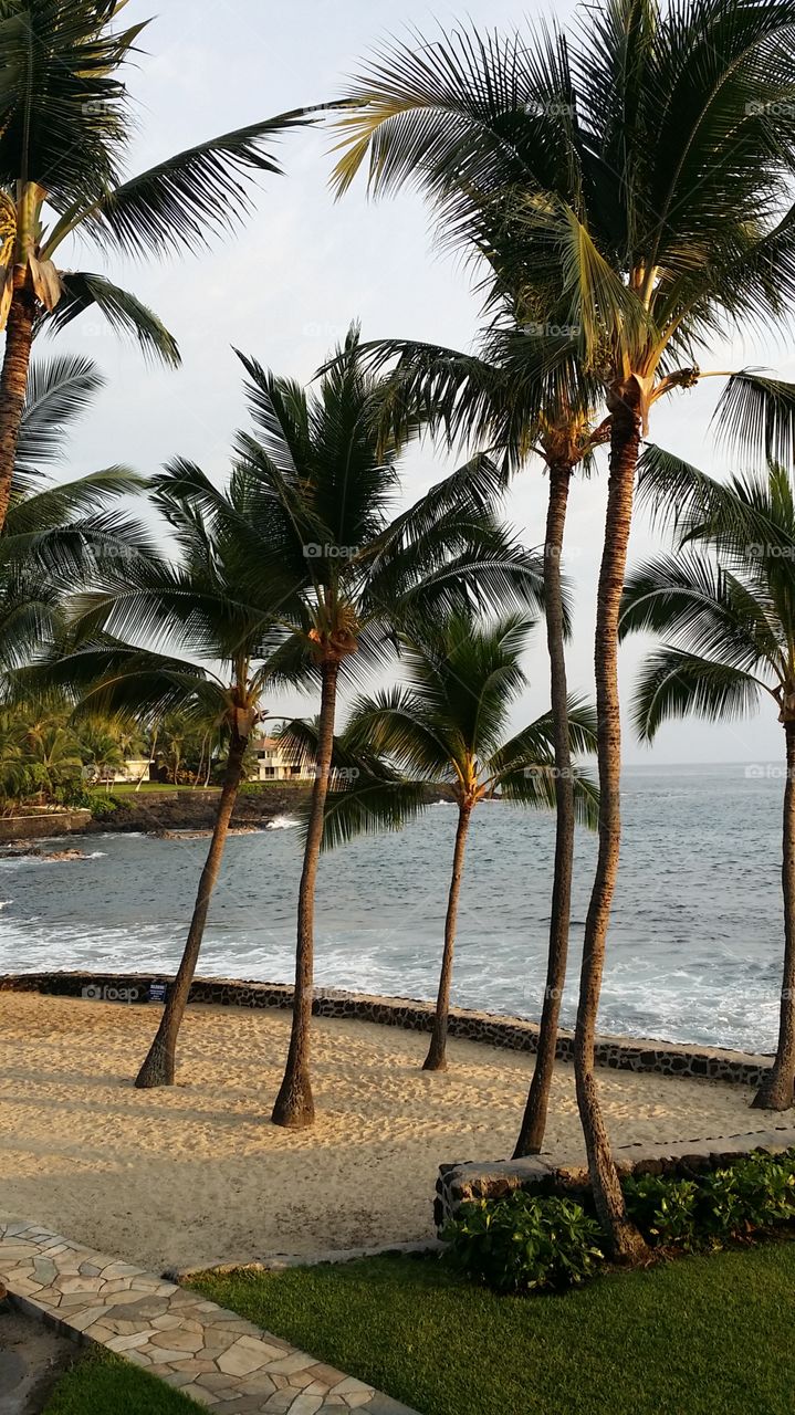 Sunset balcony views 