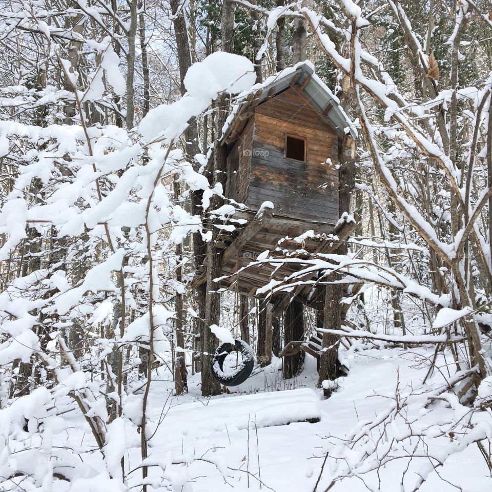 Tree house in the snow