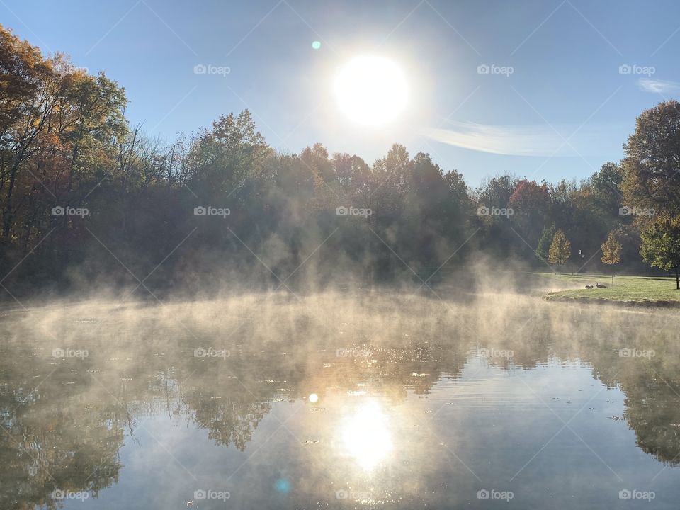 The mist rising from the pond at a local park. Lots of light, some shadows, a touch of green, and the pond looks like it’s on fire. 