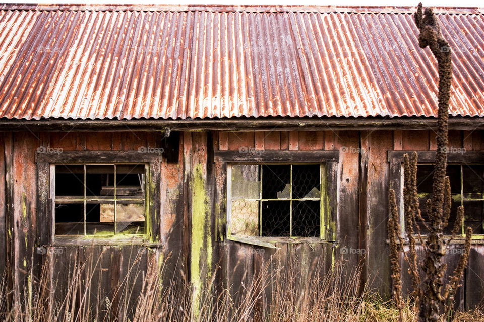 Abandoned house