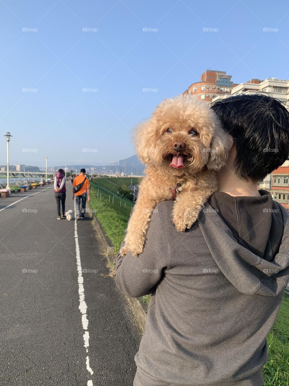 Walking with pet