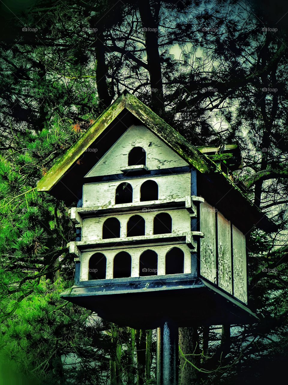 Bird house