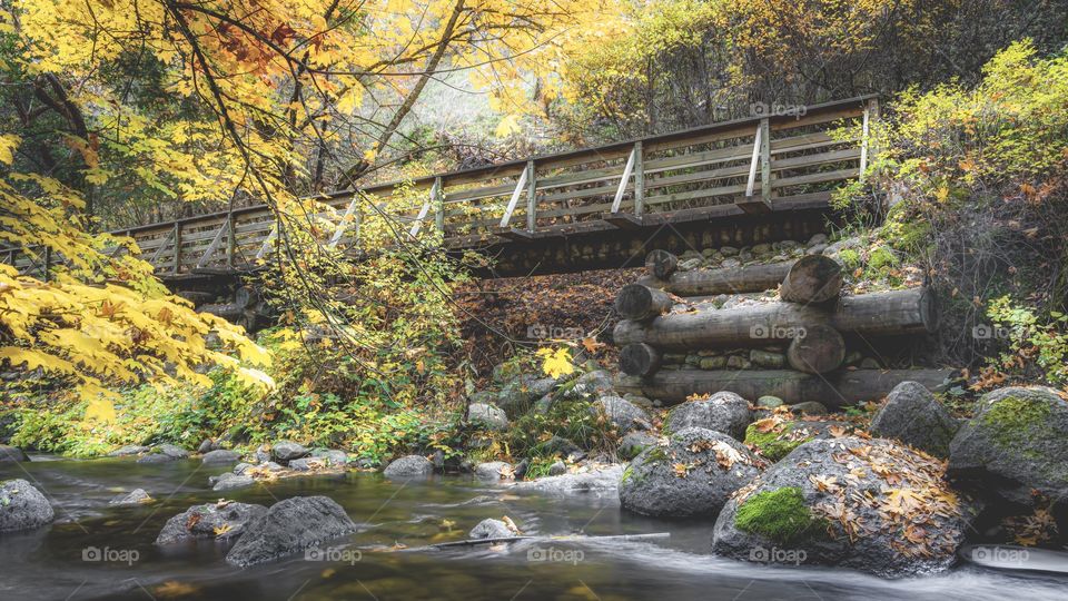 Autumn colors with creek and foot bridge in the morning light.  