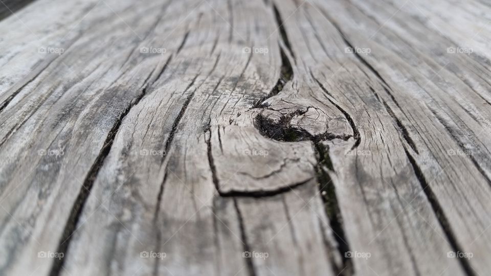 Wood, Wooden, Log, Texture, Nature