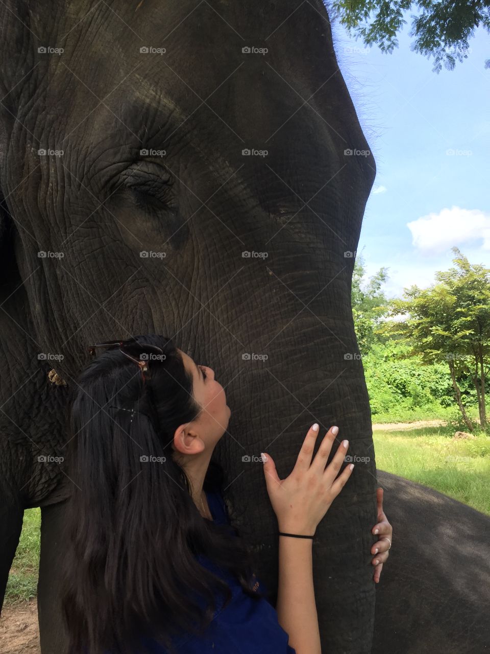 Elephant love 