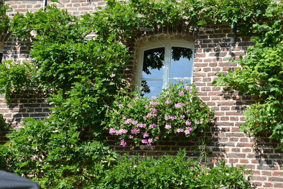 Cosy window