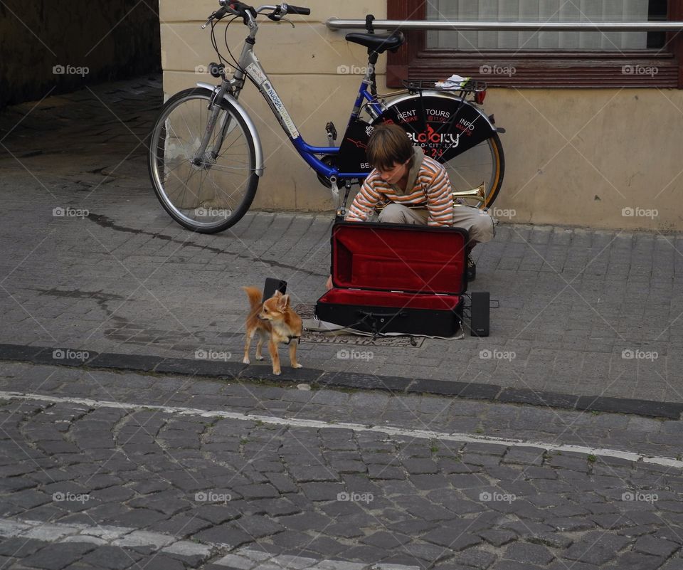 Street musician and his small dog. 