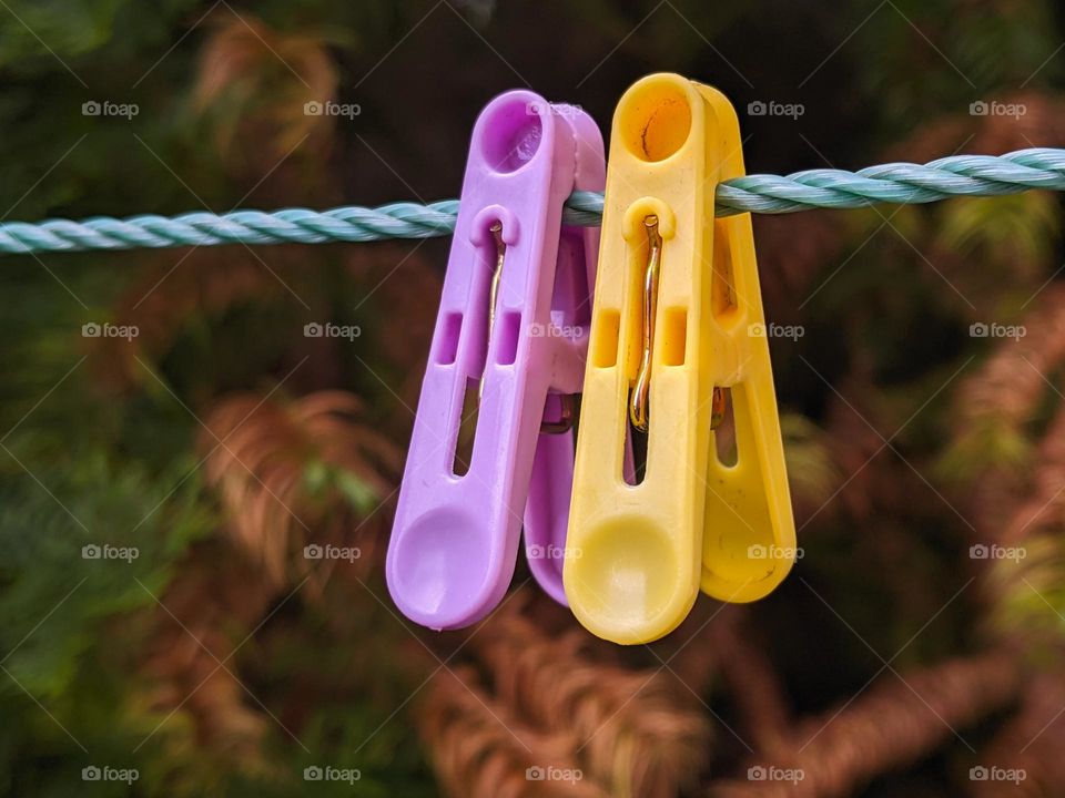 purple and yellow hairpins