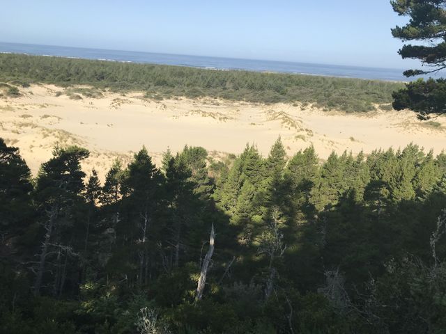 Sand dune