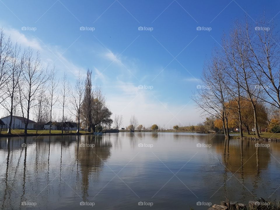 Reflection, Lake, Landscape, Tree, Water