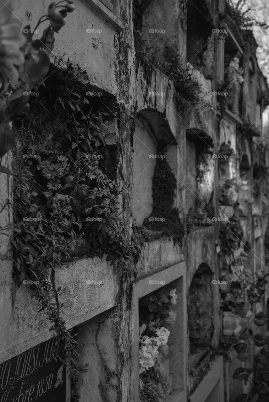 04. B&N architecture