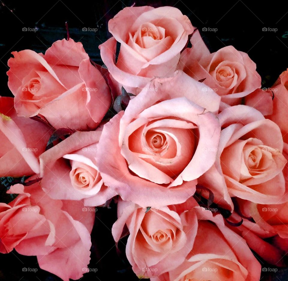 Pink rose bouquet